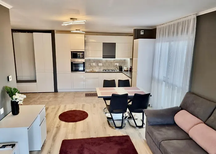 Near Forest * Тимишоара