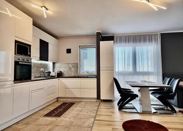 Near Forest Timisoara